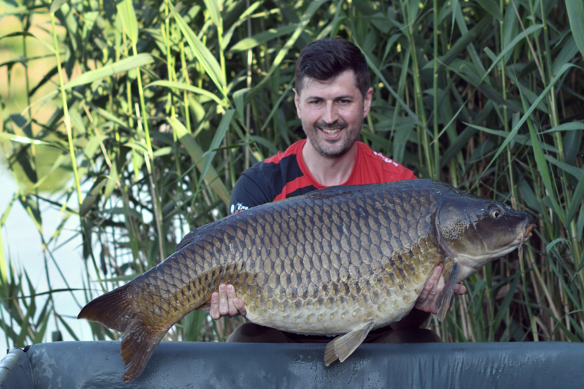 Tancabesti 29 mai - 2 iun. - DSC9614.jpg